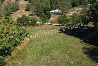Teren de 3565 mp, în Tutana - 8