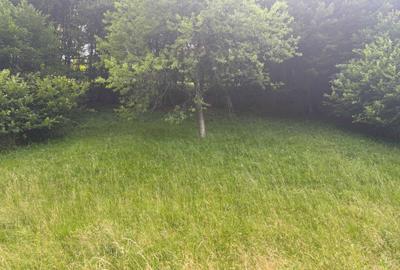 Spațiu comercial, în Leșnic - 2