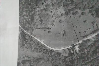 Teren de 5500 mp, în Pietroasa - 10
