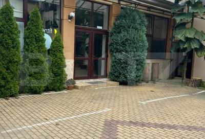 Spațiu comercial, de 400 mp, în Semicentral - 13