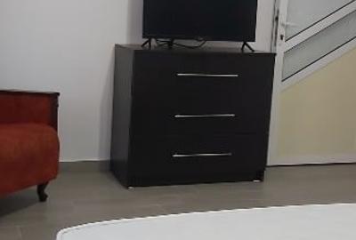 Apartament cu 3 camere decomandat, mobilat în Central - 4