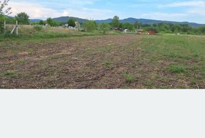 Teren de 1200 mp, în Bujoreni