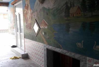 Casă cu 3 camere în Carașova - 6