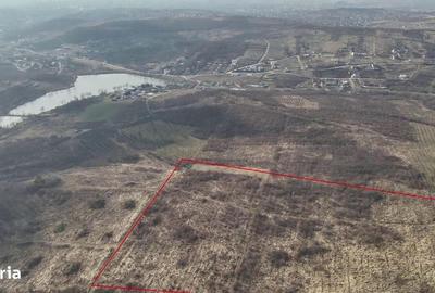 Teren de 26587 mp, în Iorga