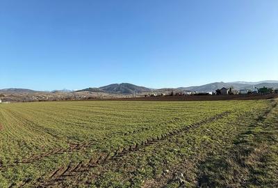 Spațiu comercial, în Tărlungeni - 4