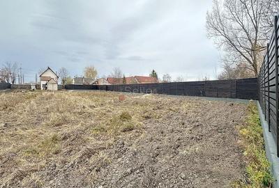 Curte Generoasa Zona Linistita - 9