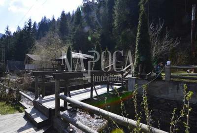 Casa 9 camere de vanzare in Sat Cerc, Valea Ierii - 6