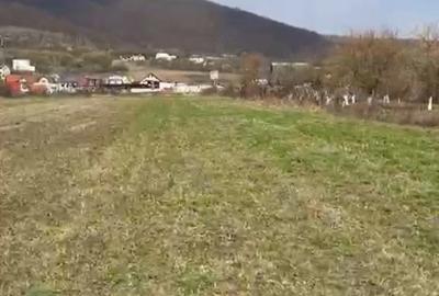 Teren de 2300 mp, în Viișoara - 5