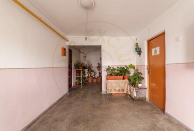 Apartament cu 3 camere decomandat, mobilat în Topoloveni - 12