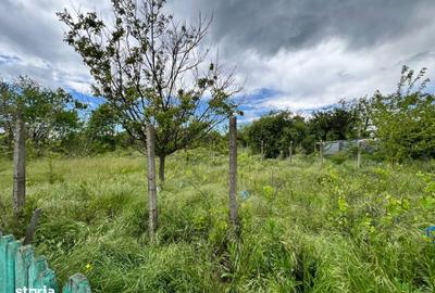 Casă cu 4 camere cu Teren 4430 Mp în Buciumeni - 14