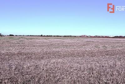 COMISION 0% Teren extravilan 40.000 mp - zona Sanandrei COMISION 0% Teren extravilan 40.000 mp - zona Sanandrei - 4