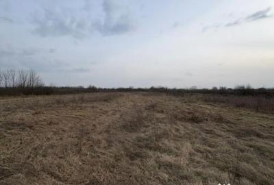 Teren în Merișor - 2