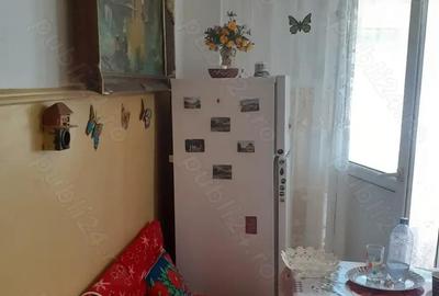 Vanzare Apartament cu 1 camere cf.1 decomandat, mobilat si utilat, pozitie buna, zona Plantelor - 11