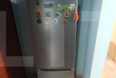 Apartament cu 4 camere, doamna Ghica - 3