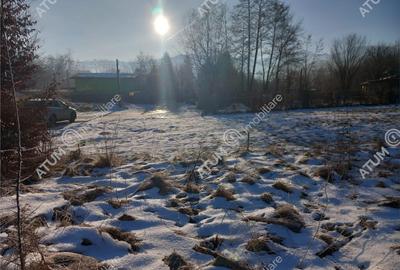 Teren intravilan 2600 mp de pe Valea Avrigului - 3