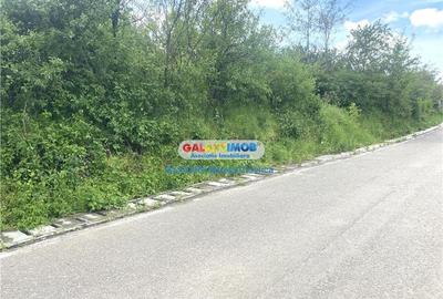 Vanzare teren intravilan Baicoi zona Tintea - 3