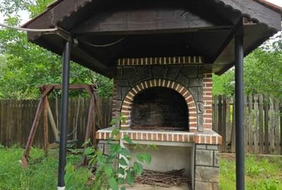 Casă individuală cu 17 camere cu Teren 2231 Mp în Pasărea - 10