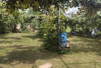 Vand casa in judetul Salaj - 2