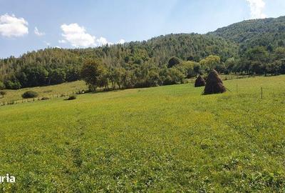 Teren de 3700 mp, în Sălciua - 6