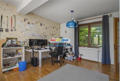 Vanzare vila Lacul TEI  PETRICANI INSULA  LAC 1900 MP TEREN - 24