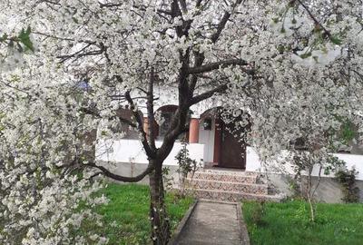 Schimb sau vand casa in com.Runcu.sat BALTiSOARA. - 1