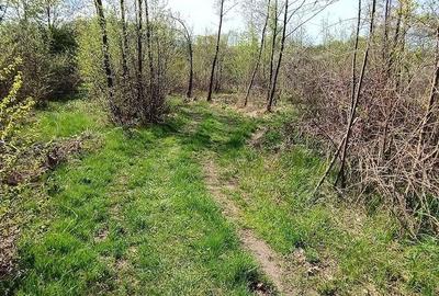 Teren de 8864 mp, în Voislova - 6