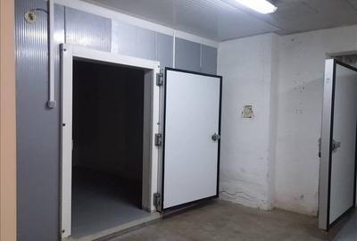 Spatii frigorifice refrigerare/congelare - 3