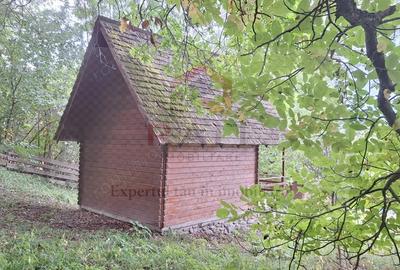 Casă cu 6 camere cu Teren 2700 Mp în Bradu - 6