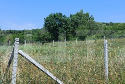 Teren extravilan de 1000 mp, situat pe strada Ghinzii - 6