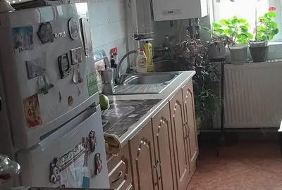 Apartament cu 2 camere semidecomandat în Ineu - 4