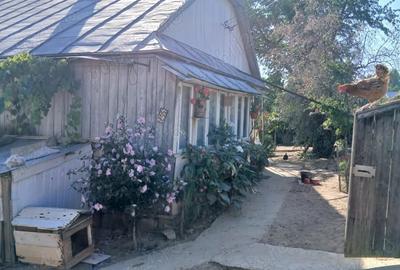 Casa+teren de vanzare in Adancata, Suceava - 6