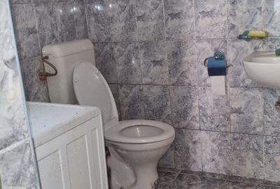 La 36 km de Oradea vindem 2 casu?e cu gradina - 6