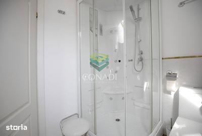 Apartament cu 4 camere, mobilat în Aviatorilor - 19