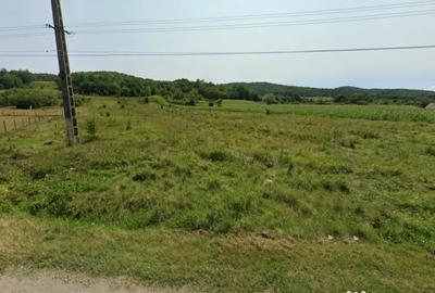 Teren de 18480 mp, în Berlești - 2