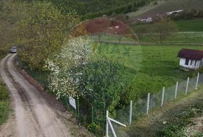 Teren extravilan de 3826 mp, în Moldovenești - 6