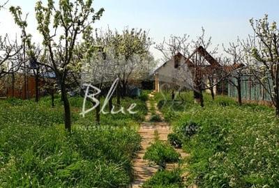 Casă individuală cu 2 camere cu Canalizare în Mihail Kogălniceanu - 14