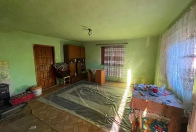 Casă cu 2 camere cu Teren 2751 Mp în Lucăcești - 2