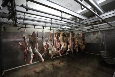 Abator complet functional cu grajduri pentru animale in Bod Colonie - 5