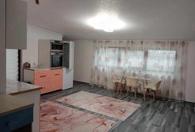 Apartament cu 2 camere decomandat în Șcheia - 3