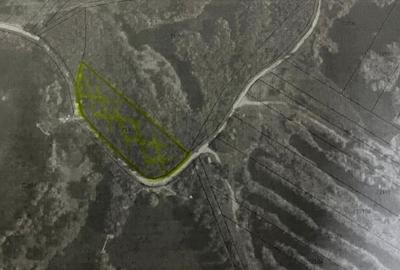 Teren agricol extravilan de 6000 mp, în Ionești - 5