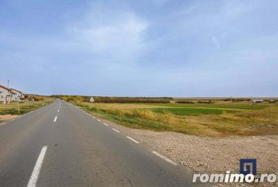 Teren de 19000 mp, în Pișchia - 3