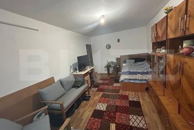 Apartament 2 camere, 47 mp utili - zona Canta - 3