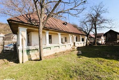 Casă cu 5 camere cu Teren 1490 Mp în Curtișoara - 4