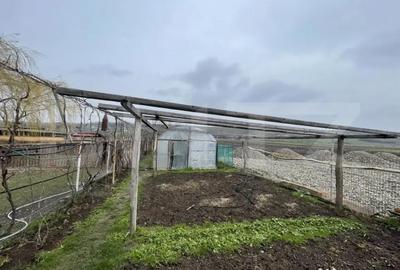 Casă cu 5 camere cu Teren 9300 Mp în Vadu Moldovei - 11