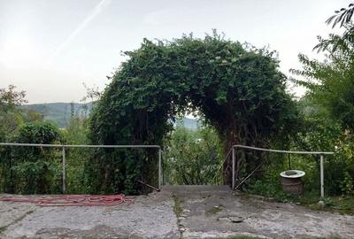 Casa la munte Cerasu - 3