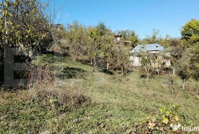 Teren de 2406 mp, în Central - 11