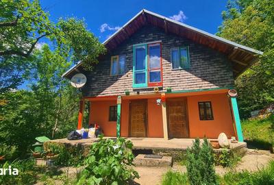 Casă cu 4 camere cu Teren 606 Mp în Bradu - 10