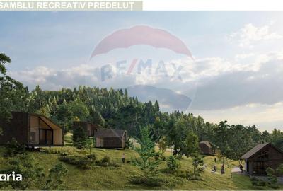 Teren de 24253 mp, în Bran - 2