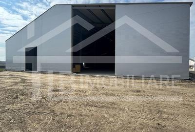 Spațiu comercial, de 1,250 mp, în Criș - 3