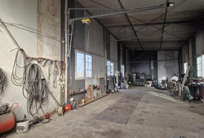 RECO Hala si teren in Fughiu, Osorhei - 4